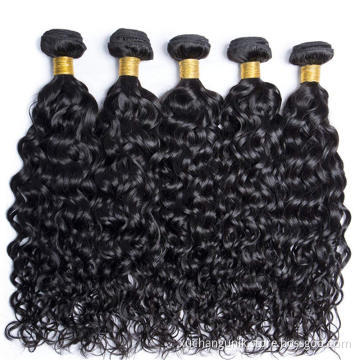Uniky Brazilian Cuticle Aligned Water Wave Human Hair Bundles With Closure